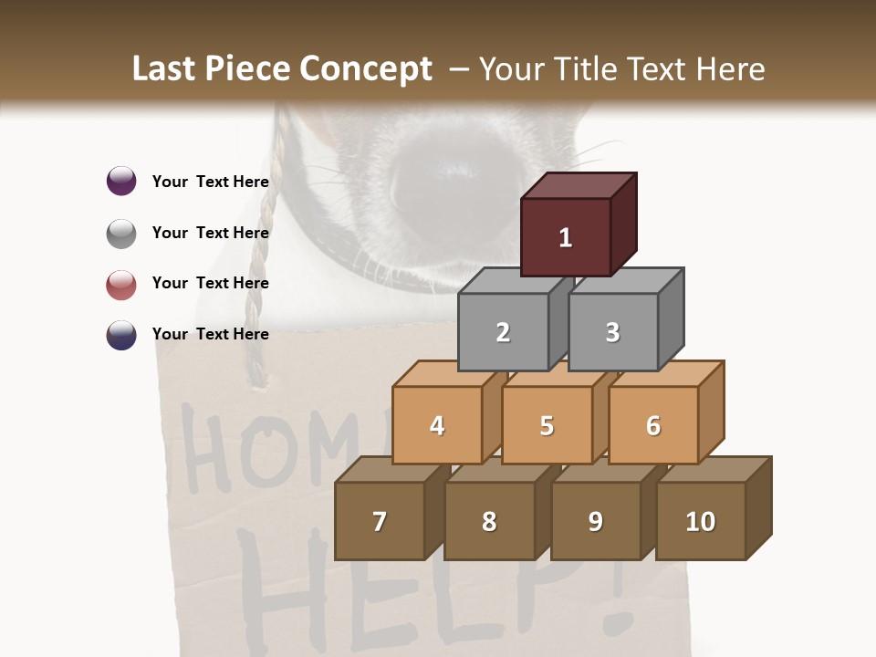 Board Sign Life PowerPoint Template