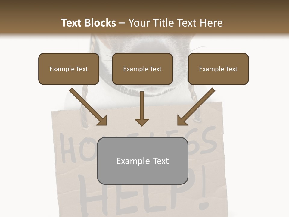 Board Sign Life PowerPoint Template