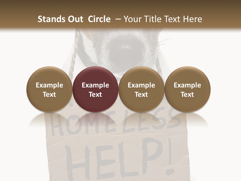 Board Sign Life PowerPoint Template