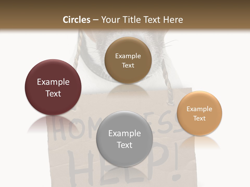 Board Sign Life PowerPoint Template