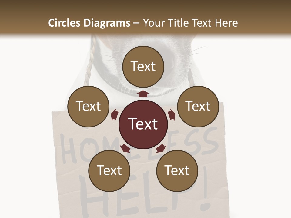 Board Sign Life PowerPoint Template