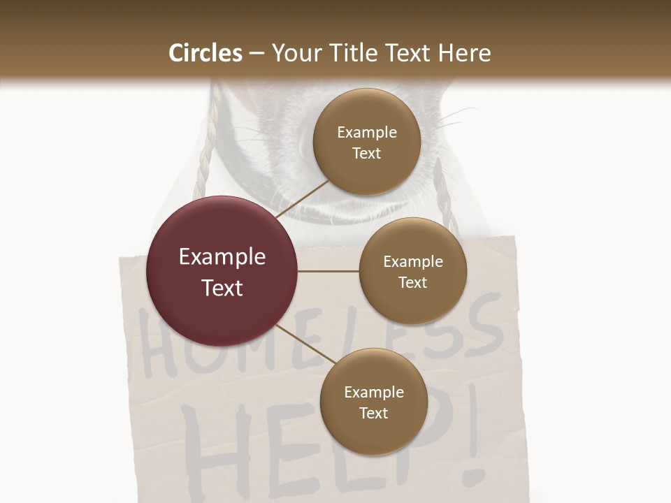 Board Sign Life PowerPoint Template