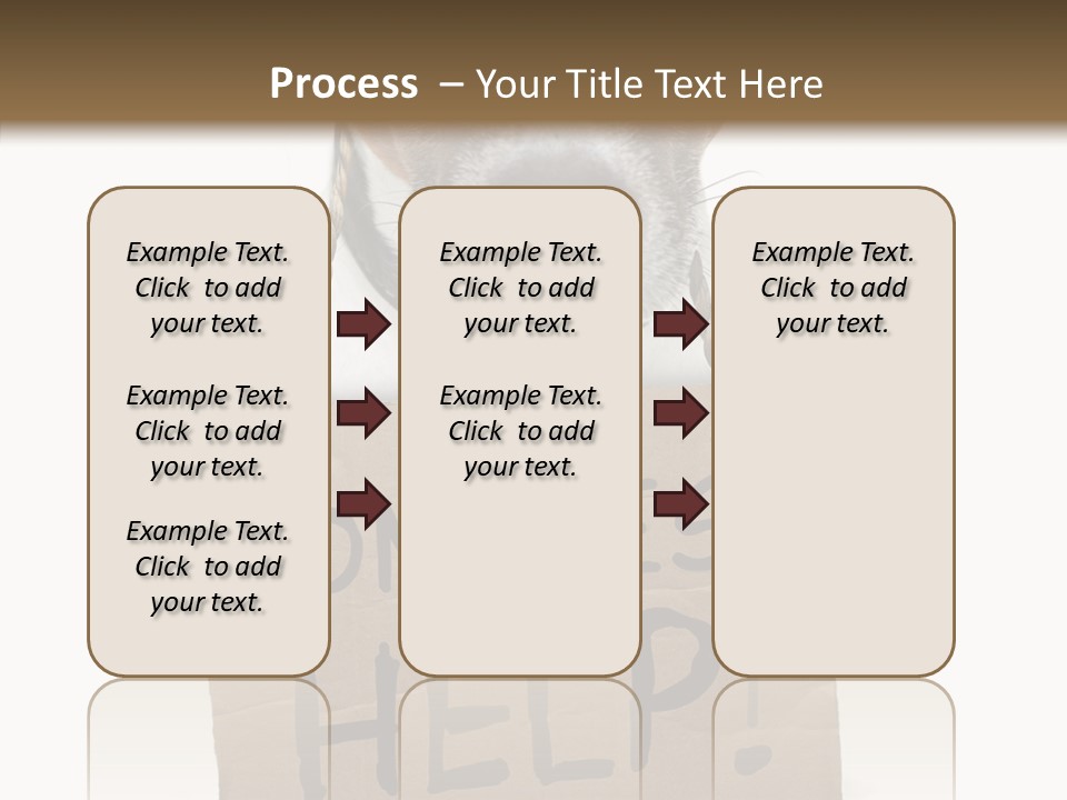 Board Sign Life PowerPoint Template