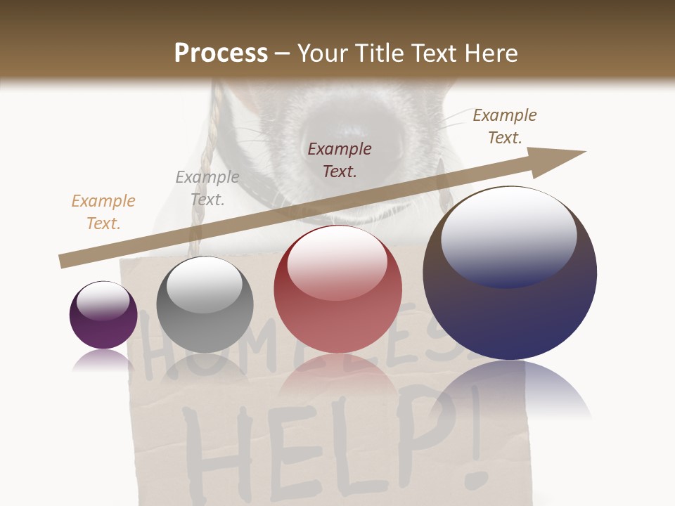 Board Sign Life PowerPoint Template