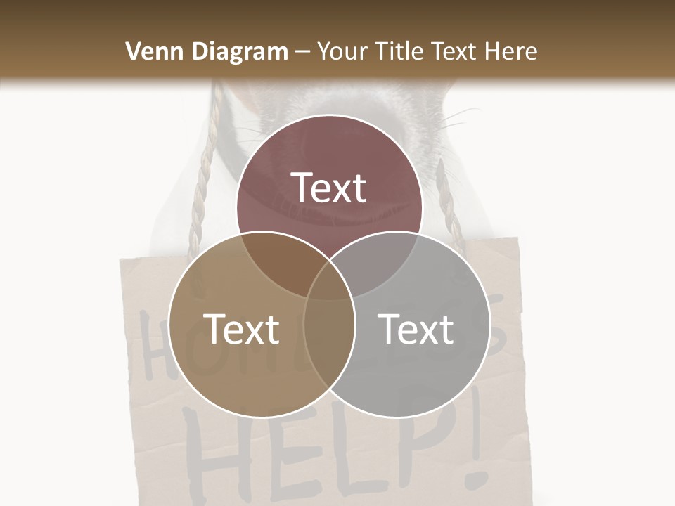 Board Sign Life PowerPoint Template