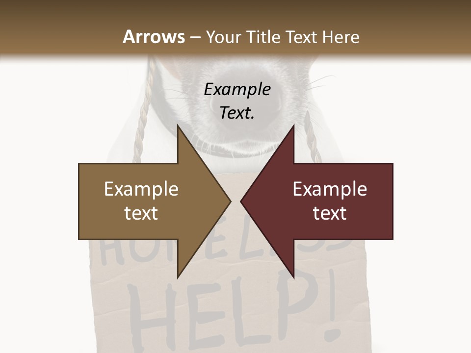 Board Sign Life PowerPoint Template