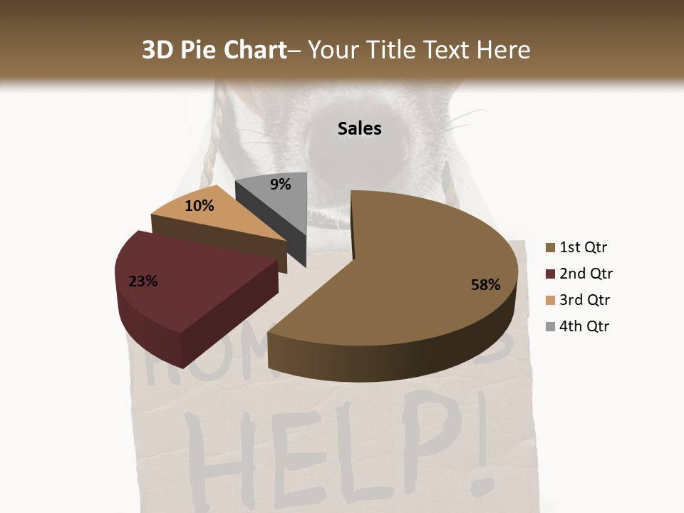 Board Sign Life PowerPoint Template