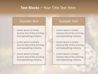 Outside Outdoors Backlit PowerPoint Template