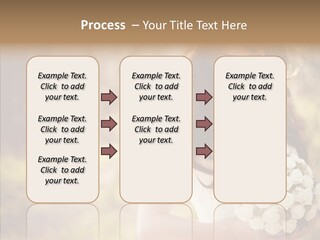 Outside Outdoors Backlit PowerPoint Template