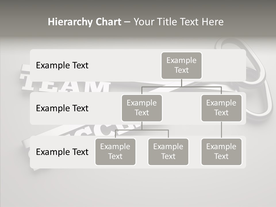 Leadership Opportunity Recruitment PowerPoint Template