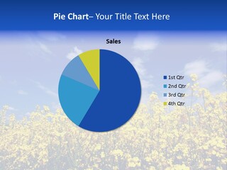 Heaven Floral Sun PowerPoint Template