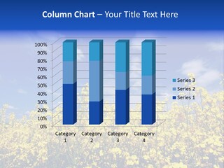 Heaven Floral Sun PowerPoint Template