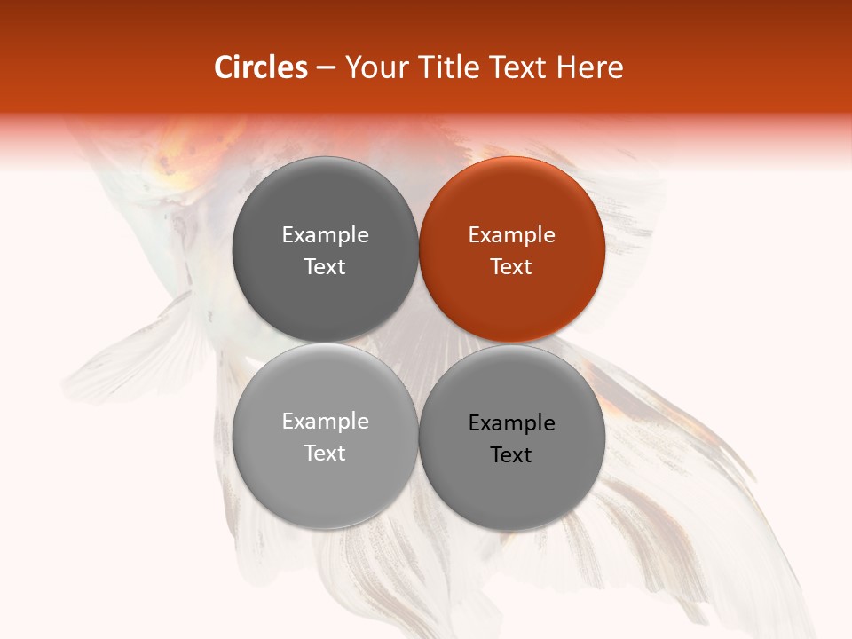 White Orange Color PowerPoint Template