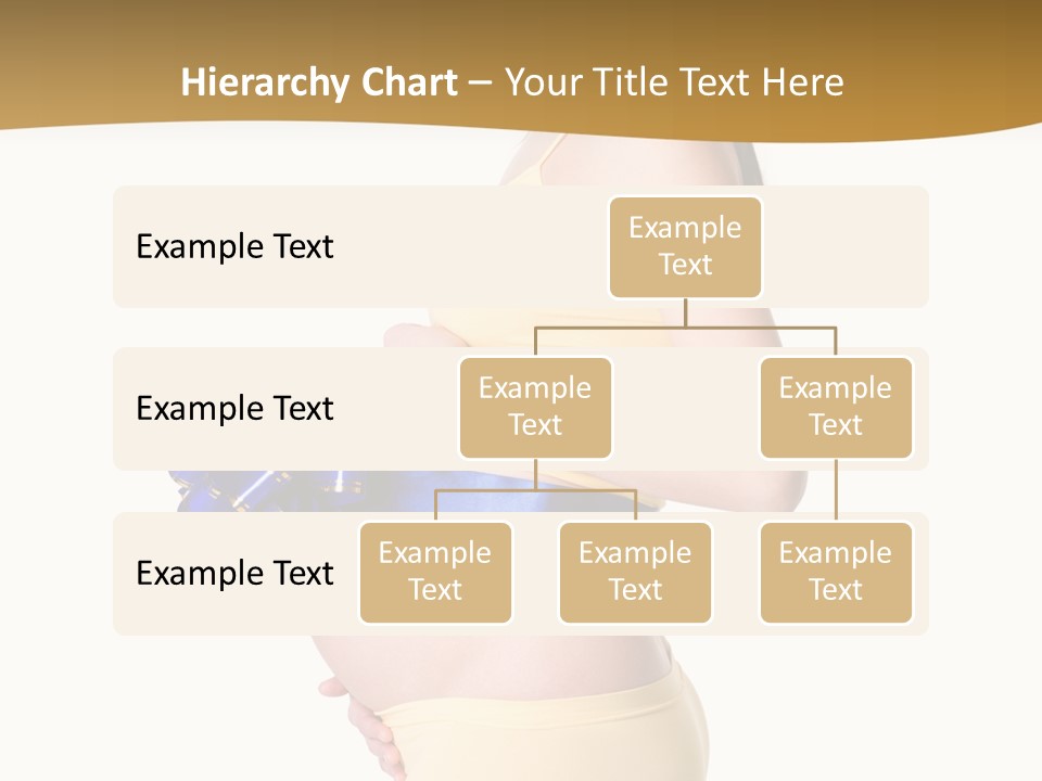Gift Expecting Stomach PowerPoint Template