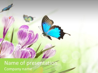White Petal Floral PowerPoint Template