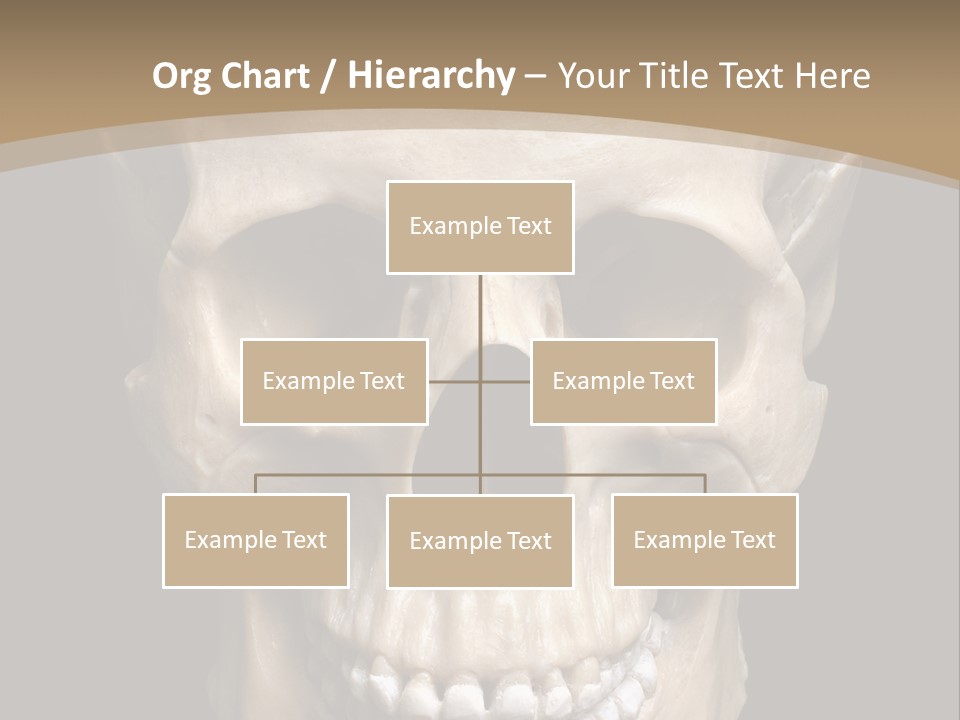 Skeleton Gothic Human PowerPoint Template