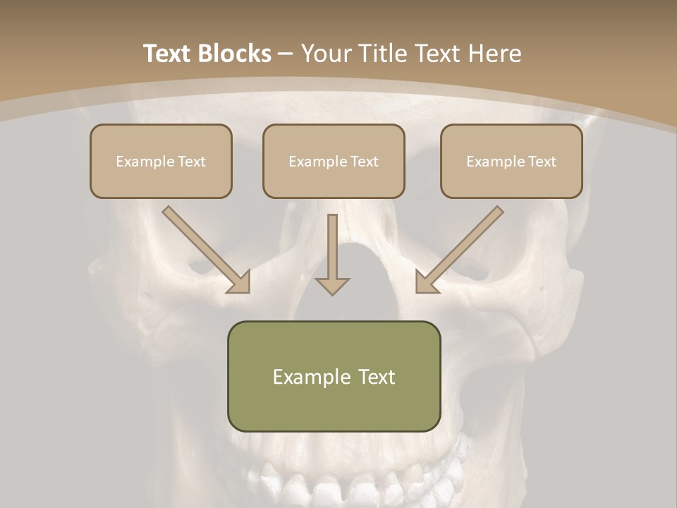Skeleton Gothic Human PowerPoint Template