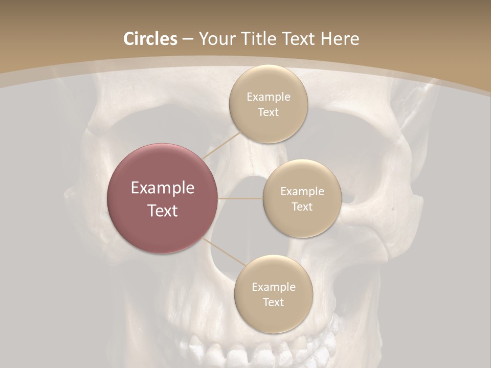 Skeleton Gothic Human PowerPoint Template