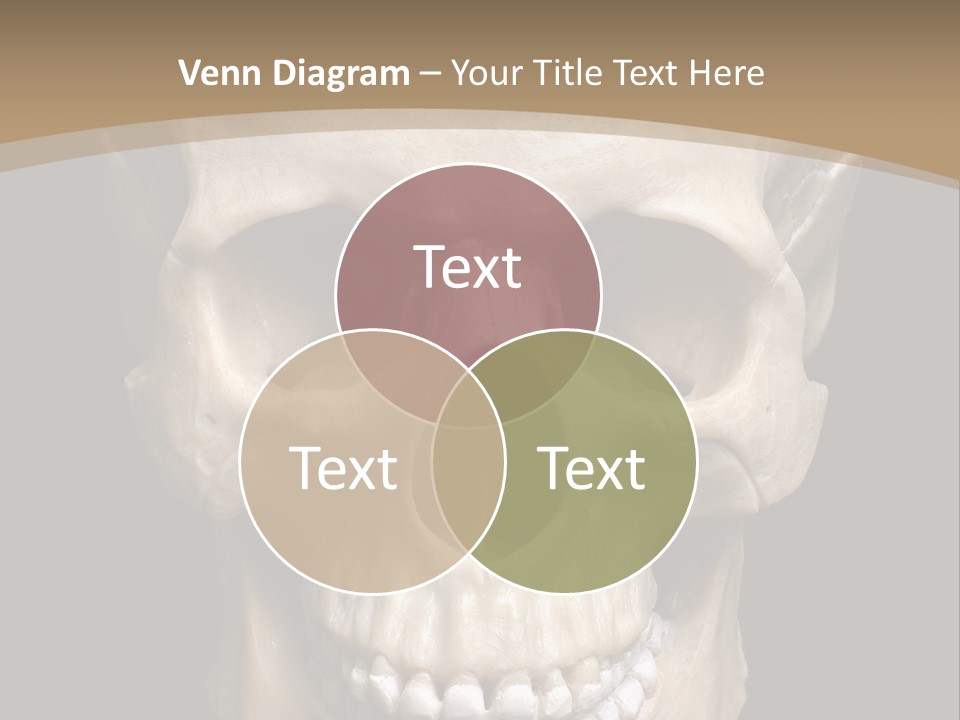 Skeleton Gothic Human PowerPoint Template
