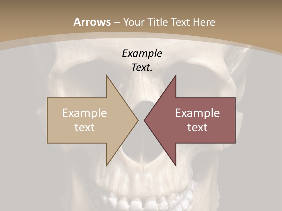 Skeleton Gothic Human PowerPoint Template