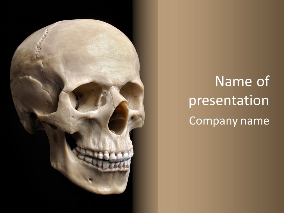 Background Death Medicine PowerPoint Template
