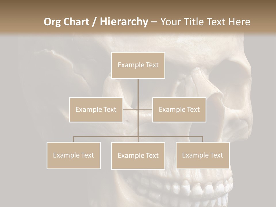 Background Death Medicine PowerPoint Template