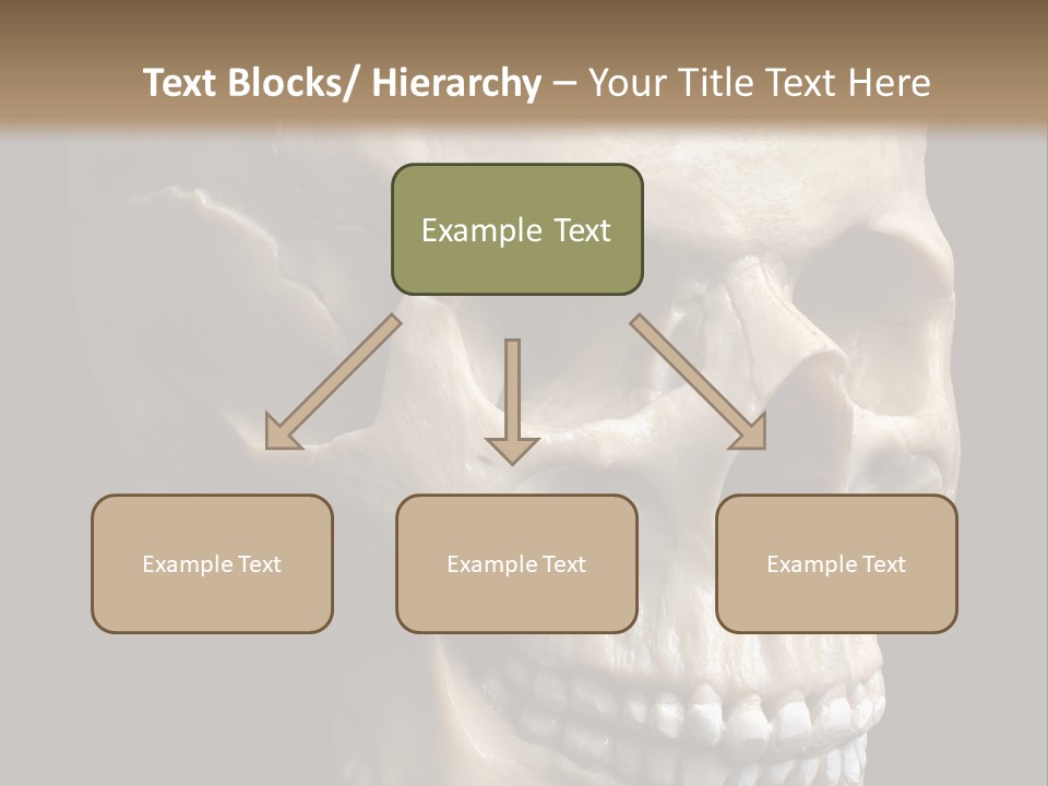 Background Death Medicine PowerPoint Template