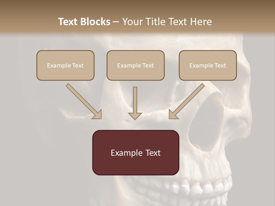 Background Death Medicine PowerPoint Template