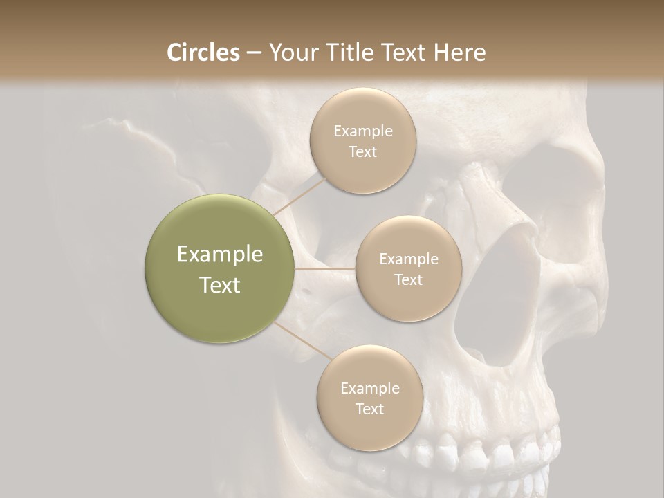 Background Death Medicine PowerPoint Template