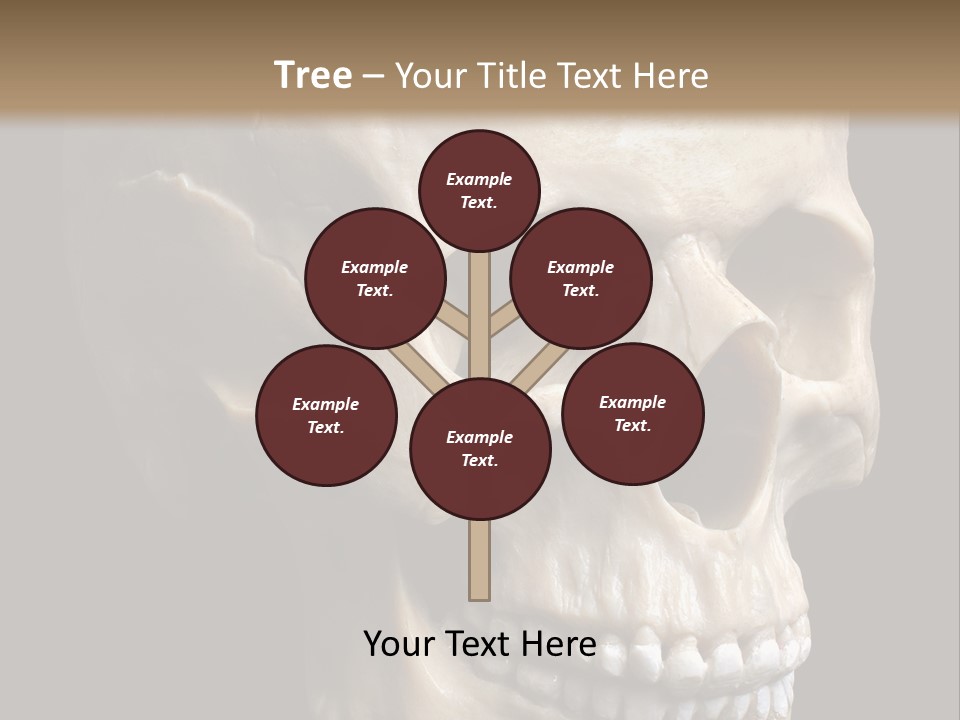 Background Death Medicine PowerPoint Template