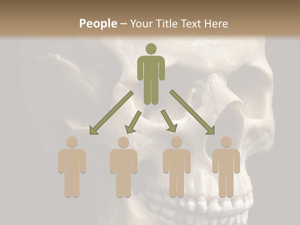 Background Death Medicine PowerPoint Template