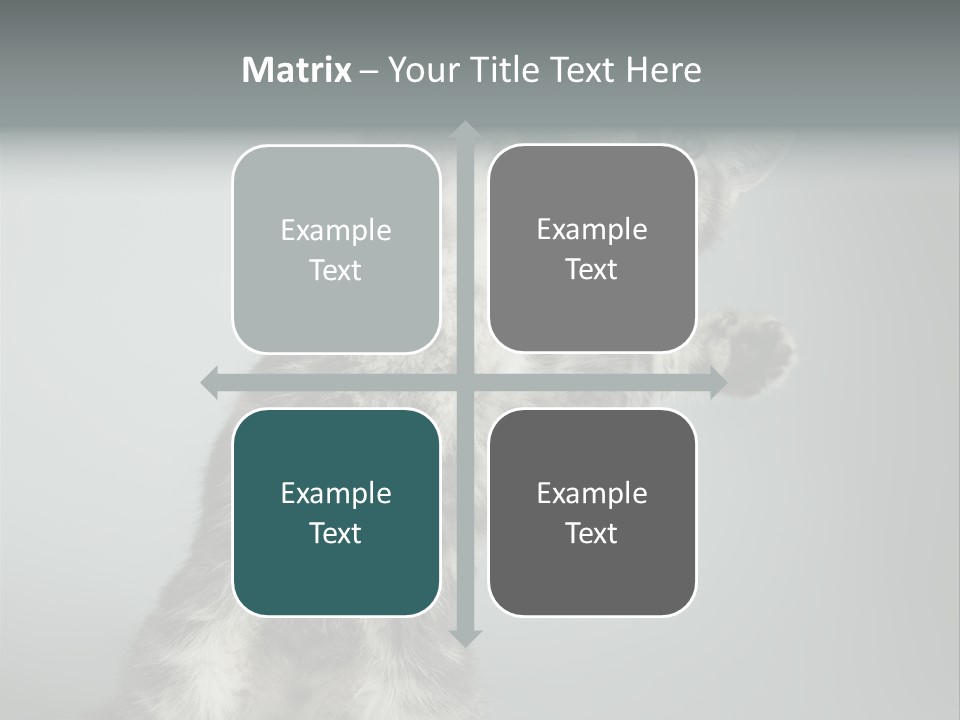 Racy Snatch Purebred PowerPoint Template