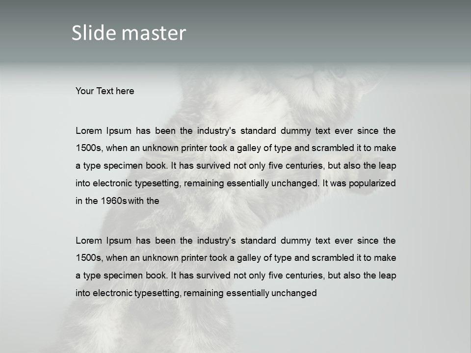 Racy Snatch Purebred PowerPoint Template