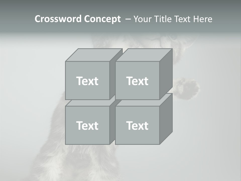Racy Snatch Purebred PowerPoint Template