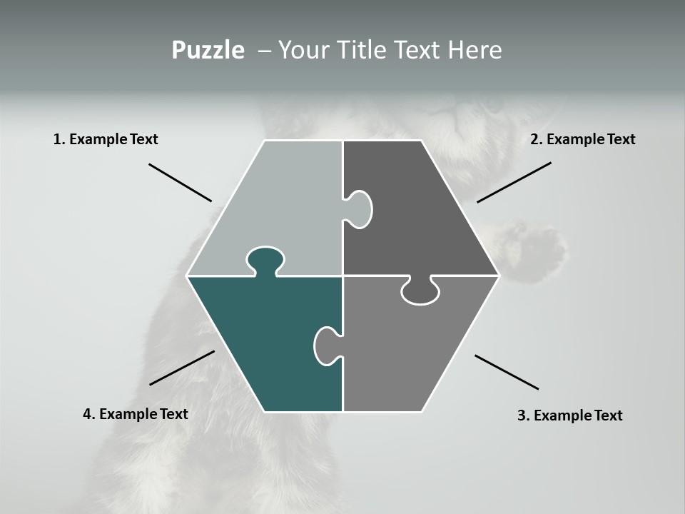 Racy Snatch Purebred PowerPoint Template