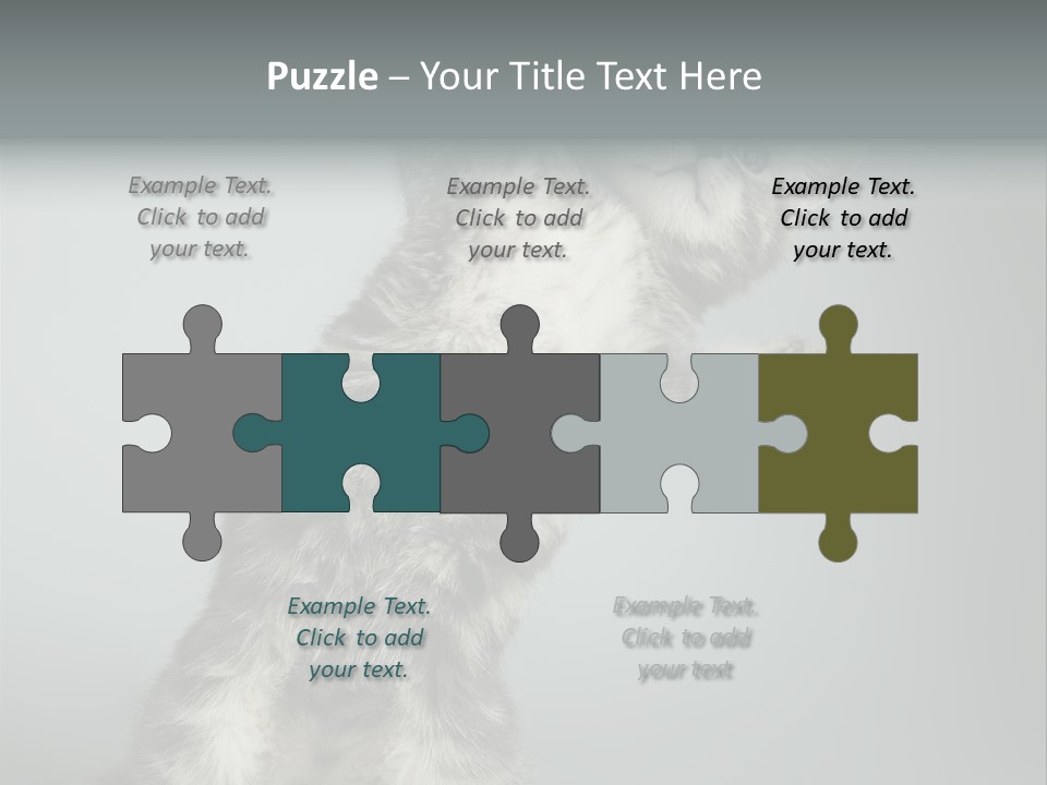 Racy Snatch Purebred PowerPoint Template