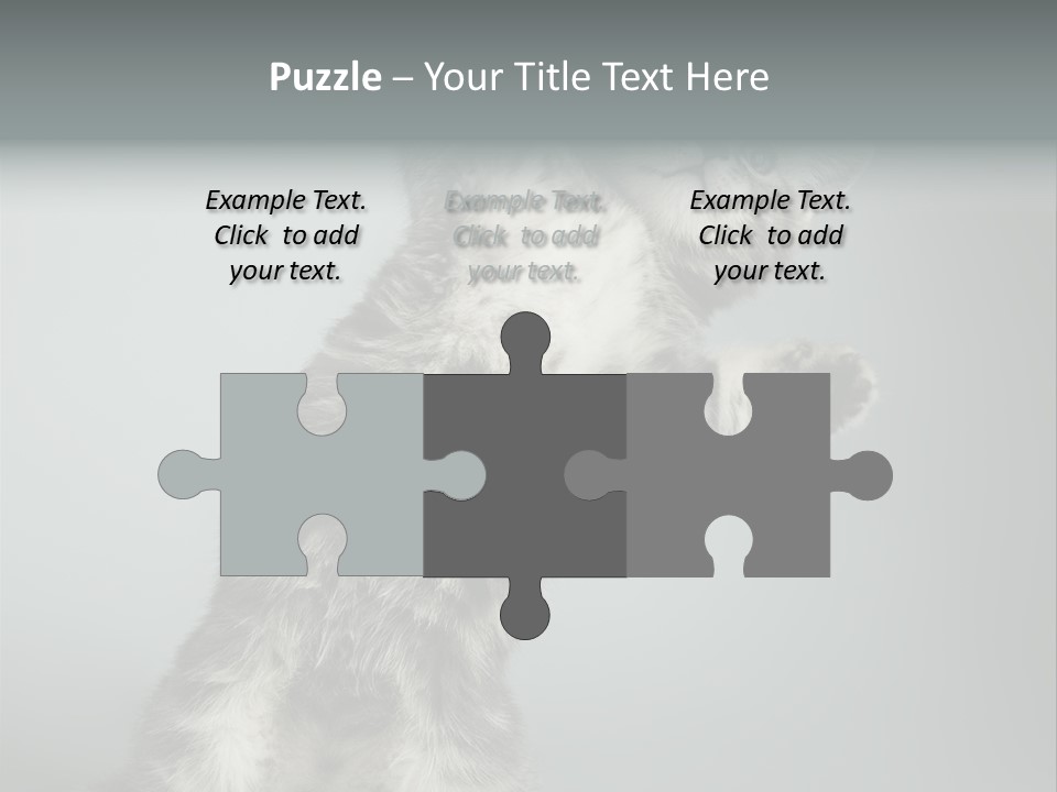 Racy Snatch Purebred PowerPoint Template