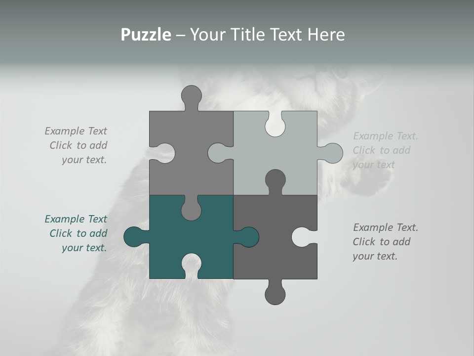 Racy Snatch Purebred PowerPoint Template
