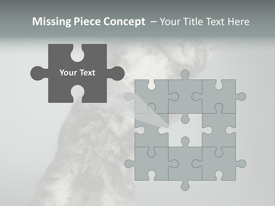 Racy Snatch Purebred PowerPoint Template