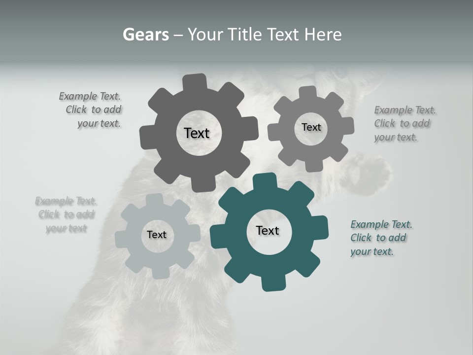 Racy Snatch Purebred PowerPoint Template