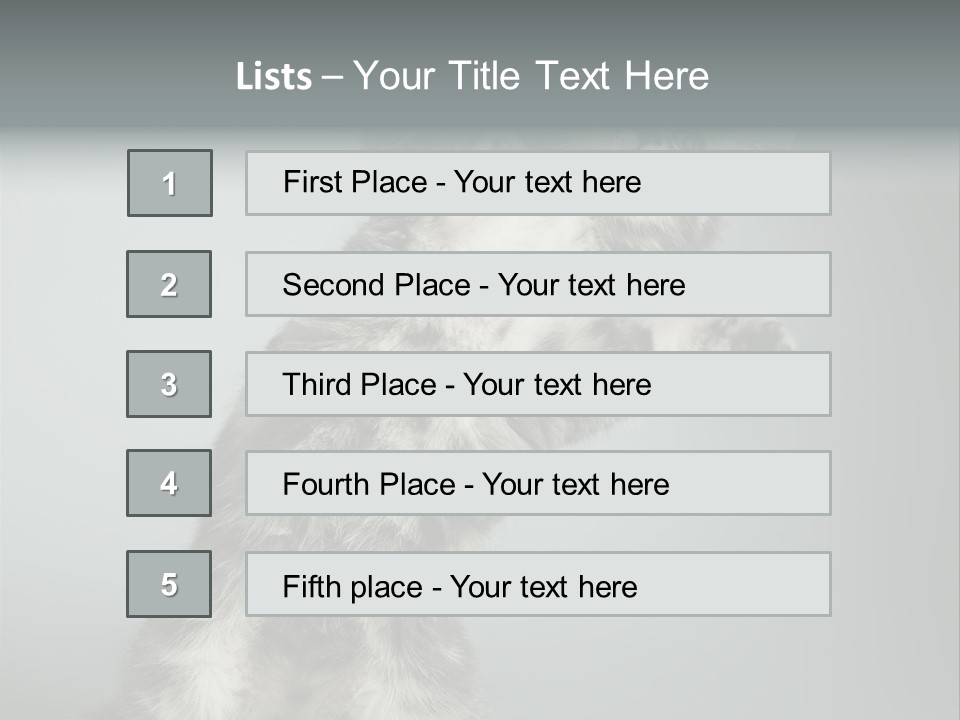 Racy Snatch Purebred PowerPoint Template
