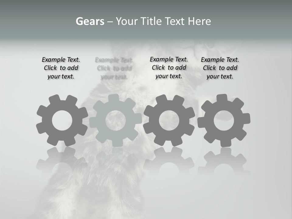 Racy Snatch Purebred PowerPoint Template