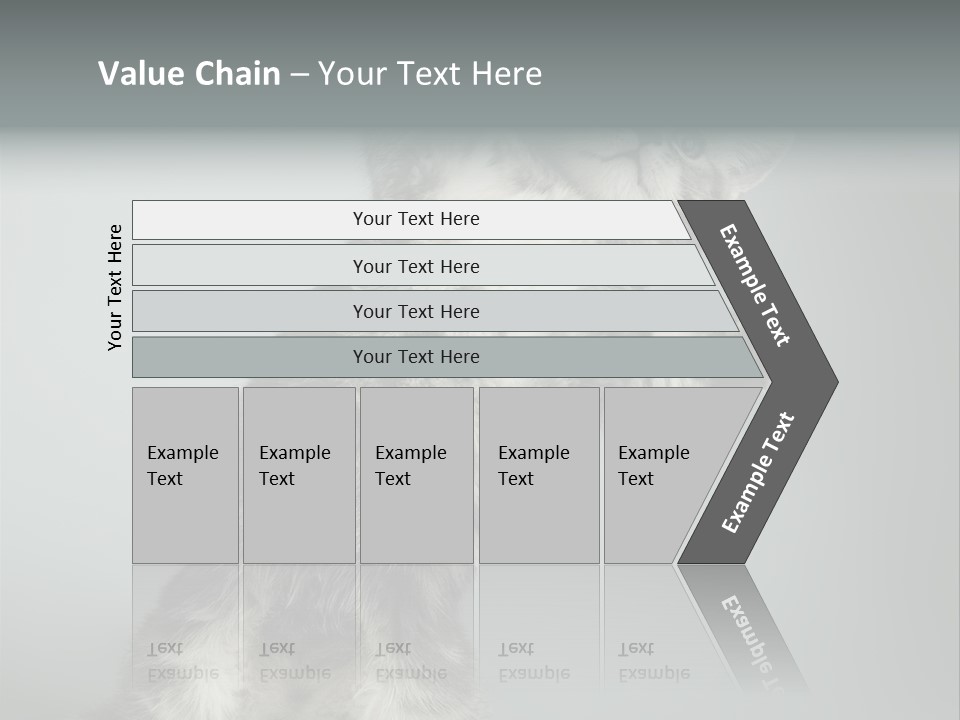 Racy Snatch Purebred PowerPoint Template