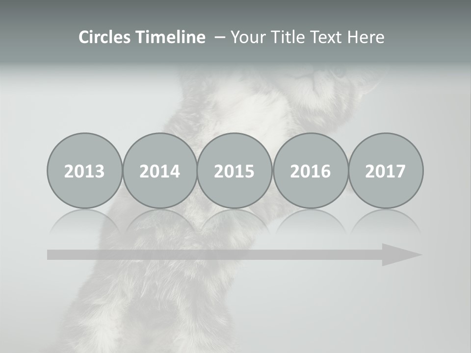 Racy Snatch Purebred PowerPoint Template