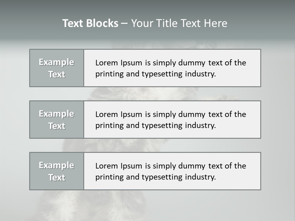 Racy Snatch Purebred PowerPoint Template