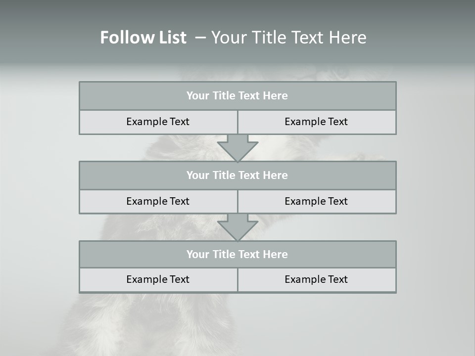 Racy Snatch Purebred PowerPoint Template