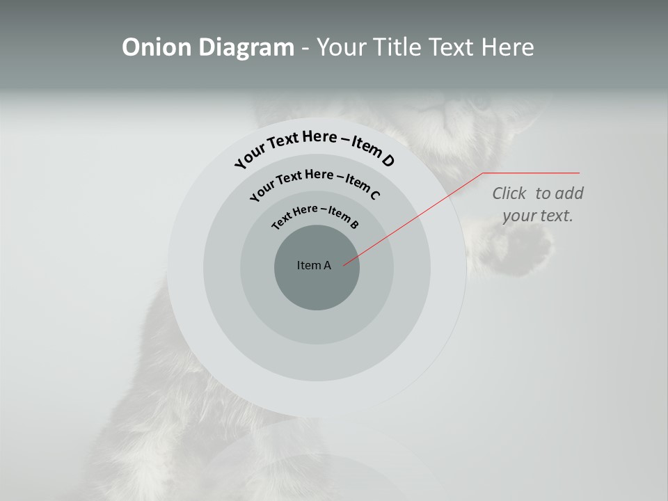 Racy Snatch Purebred PowerPoint Template