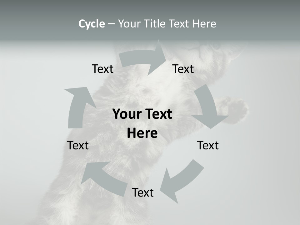 Racy Snatch Purebred PowerPoint Template