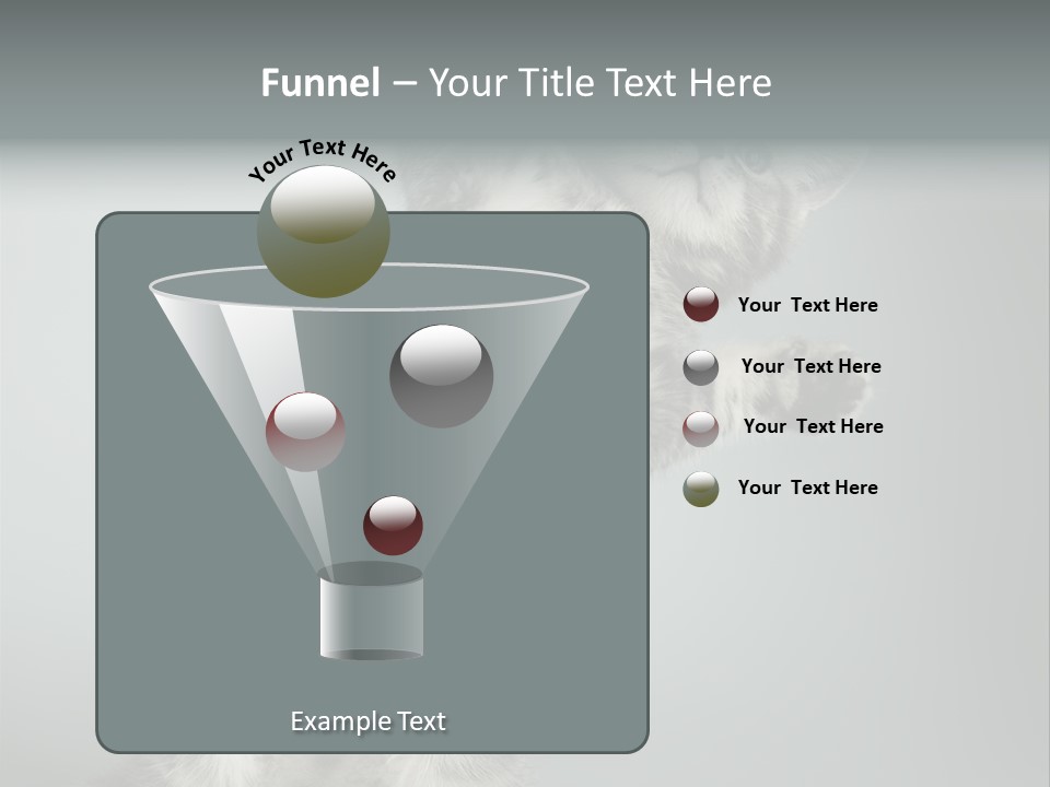 Racy Snatch Purebred PowerPoint Template