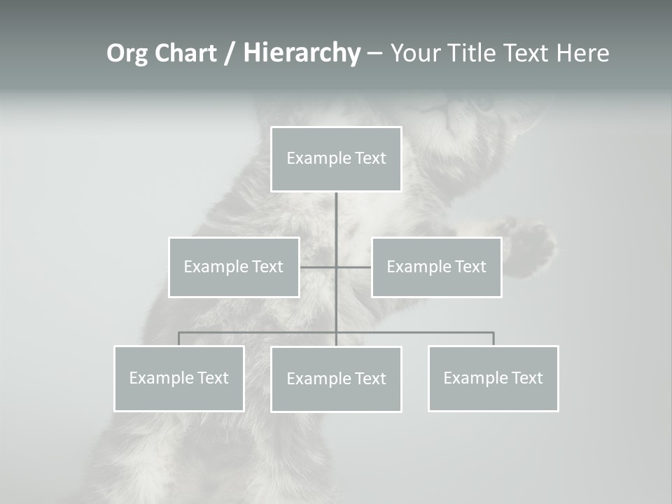 Racy Snatch Purebred PowerPoint Template